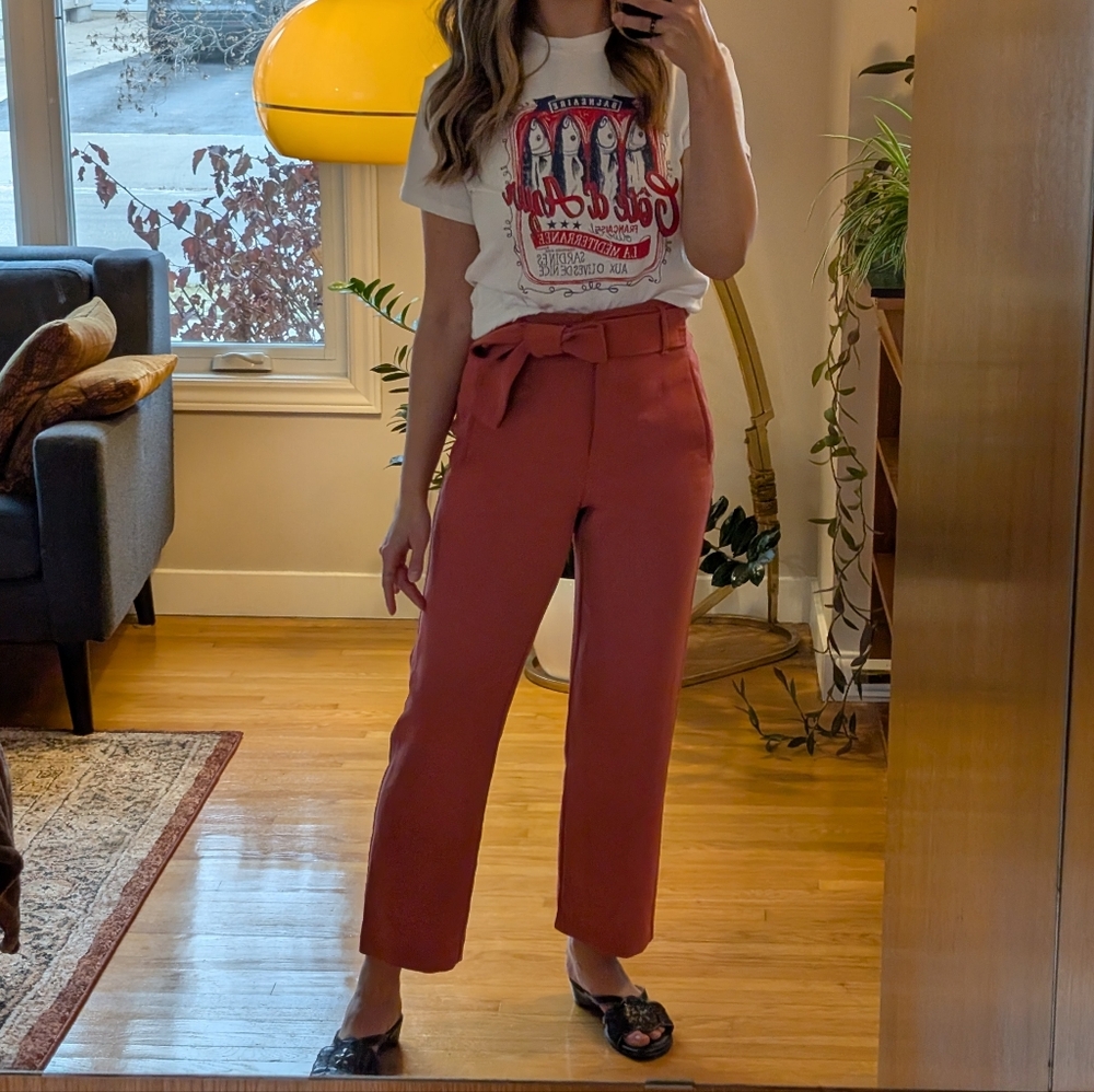 Aritzia Tie Front Pants